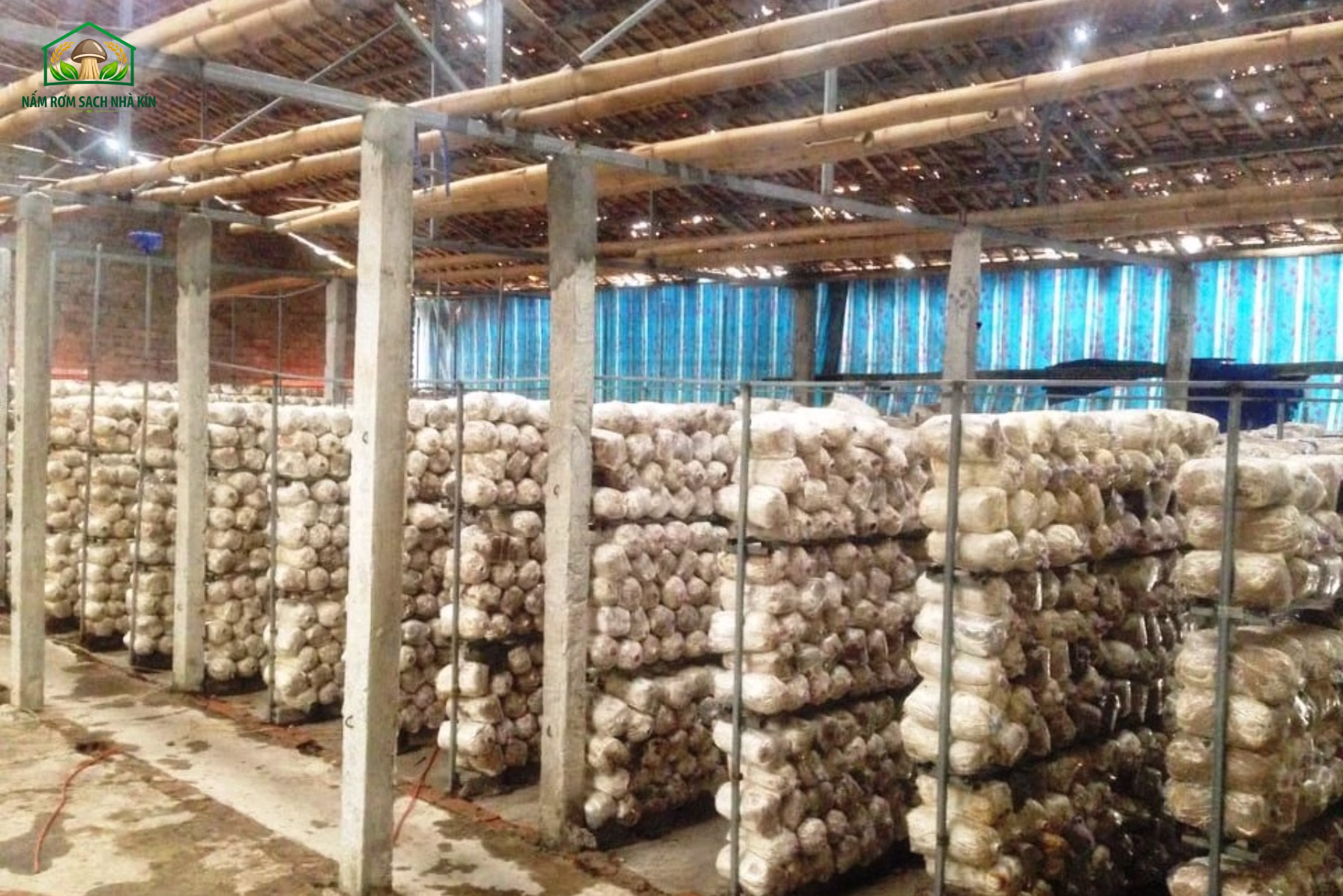 Các mô hình làm nấm rơm phổ biến hiện nay
