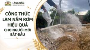 CÔng thức làm nấm rơm