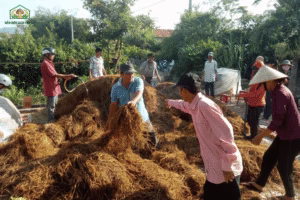Học trồng nấm từ A-Z: Hướng dẫn cho người mới bắt đầu