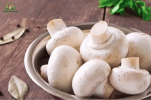 Nấm ăn có tốt không? 7 lợi ích của nấm và cách ăn đúng