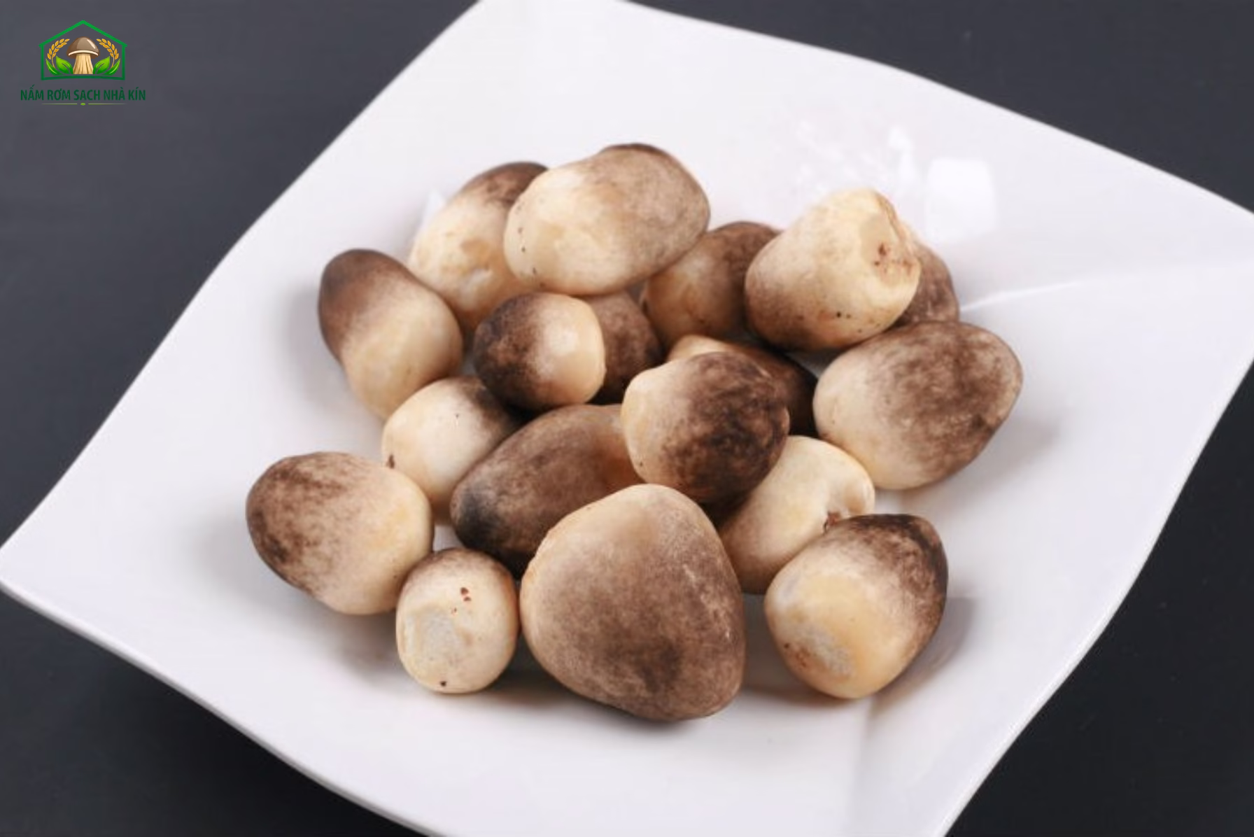 Nấm sạch là gì?