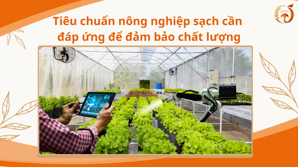 Tiêu chuẩn nông nghiệp sạch cần đáp ứng để đảm bảo chất lượng