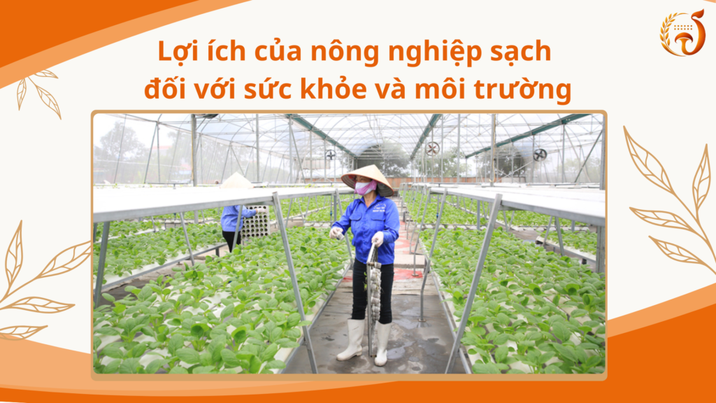 Lợi ích của nông nghiệp sạch đối với sức khỏe và môi trường