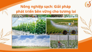 Nông nghiệp sạch: Giải pháp phát triển bền vững cho tương lai