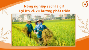 Nông nghiệp sạch là gì? Lợi ích và xu hướng phát triển