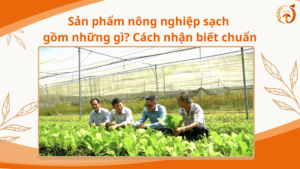 Sản phẩm nông nghiệp sạch gồm những gì? Cách nhận biết chuẩn