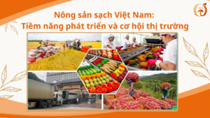 Nông sản sạch Việt Nam: Tiềm năng phát triển và cơ hội thị trường