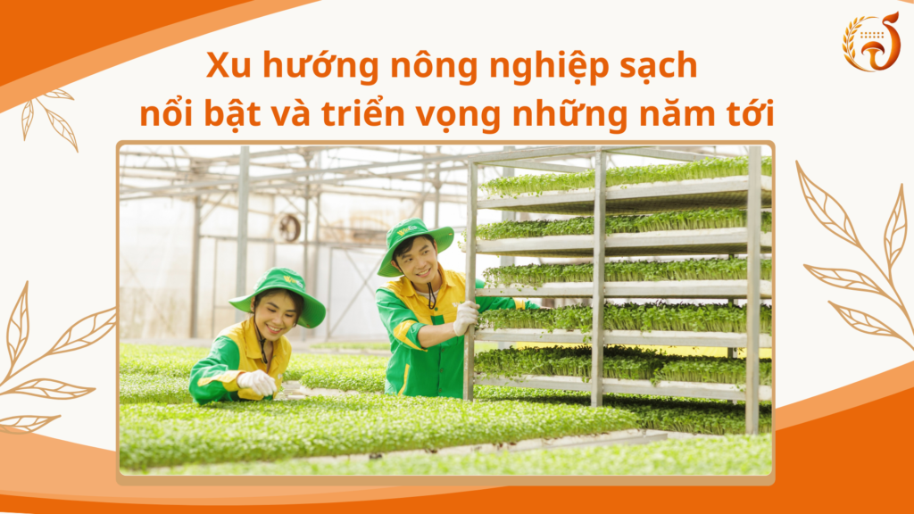 Xu hướng nông nghiệp sạch nổi bật và triển vọng những năm tới