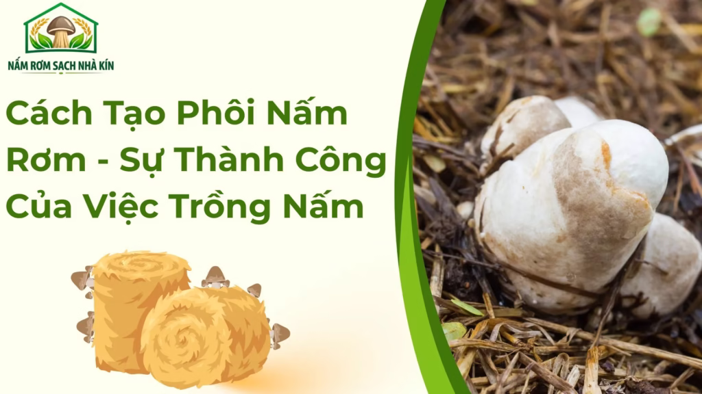 Cách Tạo Phôi Nấm Rơm