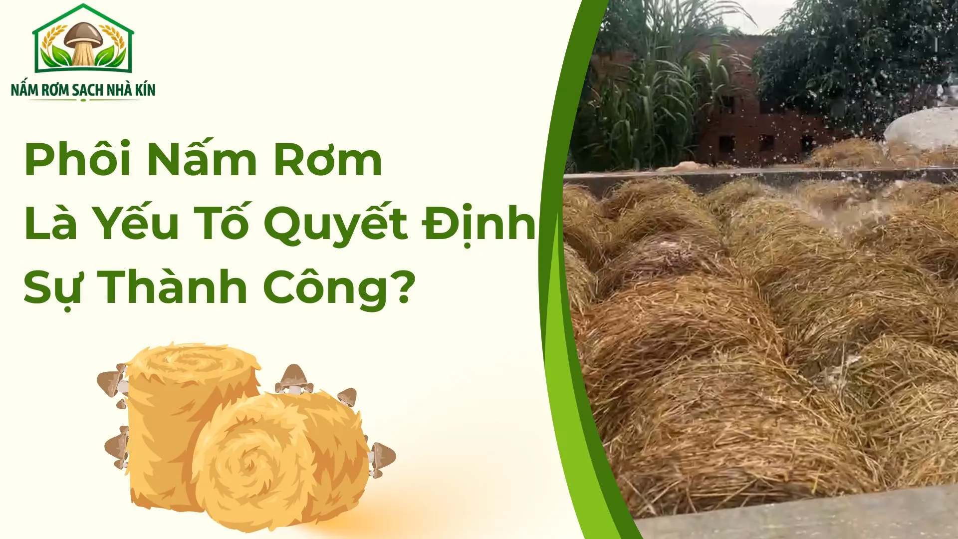 Phôi nấm rơm
